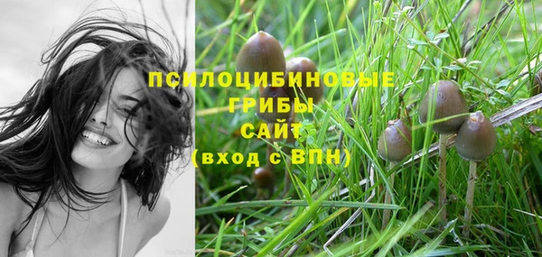 прущая мука Инсар