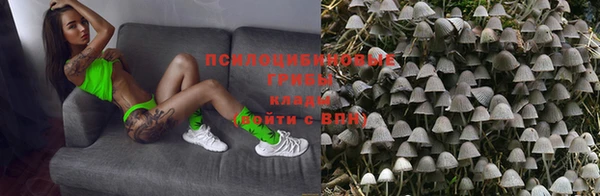 дурь Нягань