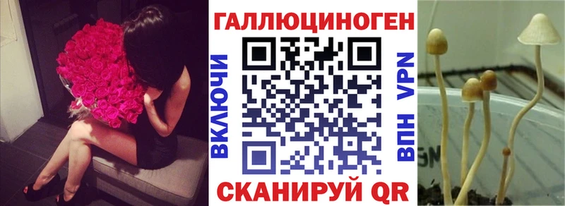 ссылка на мегу ссылка  Красноармейск  Псилоцибиновые грибы MAGIC MUSHROOMS 