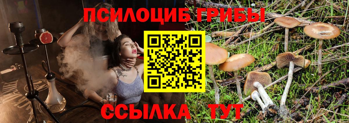 Галлюциногенные грибы ЛСД Красноармейск