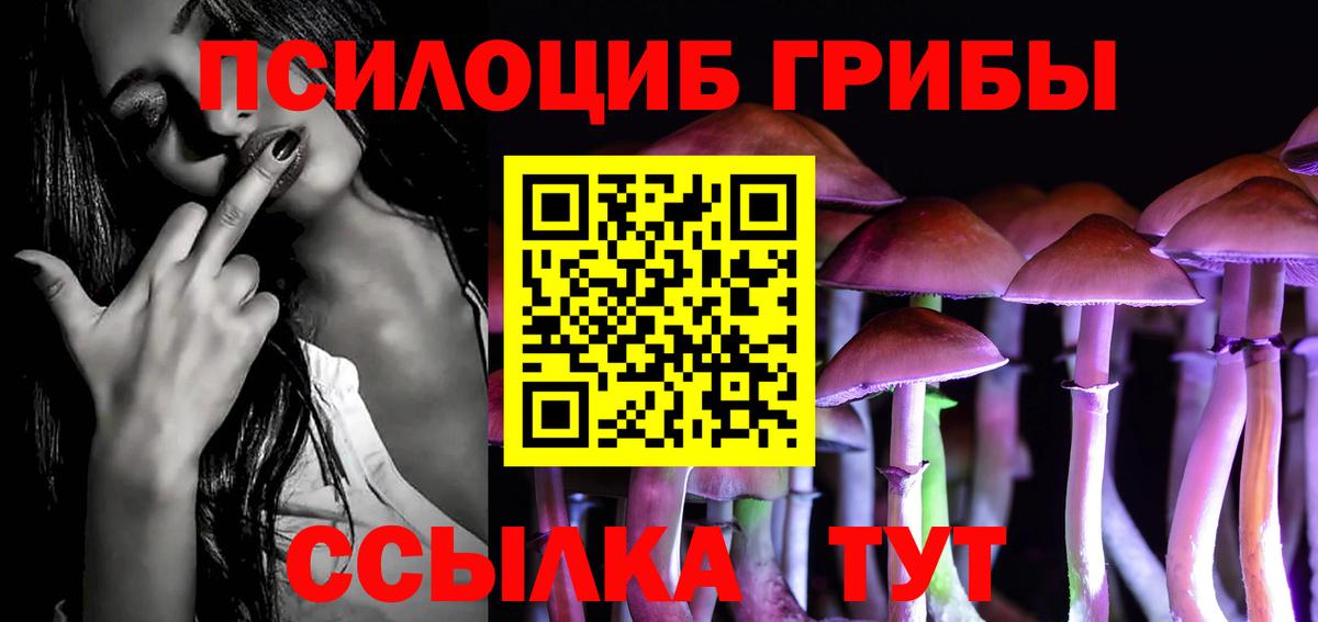 Псилоцибиновые грибы ЛСД  Псилоцибиновые грибы мицелий  Вход с VPN  Красноармейск 